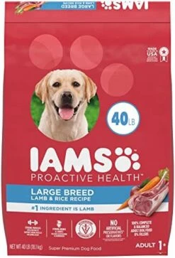 IAMS Adult High Protein Large Breed Dry Dog Food With Real Chicken, 30 Lb. Bag -Dog Supply Store 51z2MtYR9dL. AC