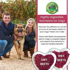 Olewo Red Beets For Dogs Granular – Natural Anti Itch For Dogs, Dog Food Topper, Immune, Cleansing, Skin & Coat Support, Dehydrated Whole Food Dog Multivitamin, Fiber For Dogs, 22 Oz -Dog Supply Store 614DRl5G7fL