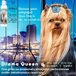 The Blissful Dog Poodle Drama Queen Dog Shampoo, 8 Oz. 19 The Blissful Dog Poodle Drama Queen Dog Shampoo, 8 Oz. -Dog Supply Store 6192n2o7LYL
