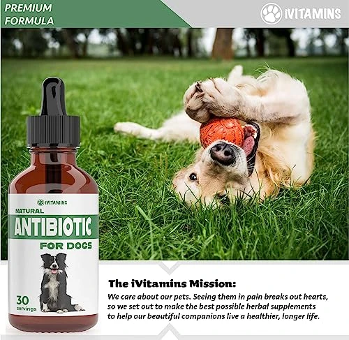 Natural Antibiotics For Dogs | Dog Antibiotics | Supports Dog Allergy Relief | Dog Itch Relief | Dog Allergy Support | Dog Multivitamin | Pet Antibiotics | Dog Antibiotic | 1 Pack: Bacon Flavor 6 Natural Antibiotics For Dogs | Dog Antibiotics | Supports Dog Allergy Relief | Dog Itch Relief | Dog Allergy Support | Dog Multivitamin | Pet Antibiotics | Dog Antibiotic | 1 Pack: Bacon Flavor - Image 4