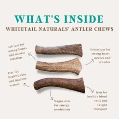 WhiteTail Naturals | Premium Deer Antlers For Dogs (Extra Large) | All Natural Antler Dog Chew | Naturally Shed, Long Lasting Chew Bone, Made In USA -Dog Supply Store 61CPrVJo6NL