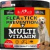 Flea And Tick Prevention Chewable Pills For Dogs - Revolution Oral Flea Treatment For Pets & Complex Multivitamin -Natural Pest Control & Defense Chews - Small Tablets Made In USA (10 Oz)
