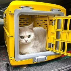 Fonowx Collapsible Puppy Crate Pet Carrier Breathable Foldable Hard Sided Portable Dog Kennel Cat Travel Cage For Kitten Small Dogs Small Animals, Yellow -Dog Supply Store 61H5yU8TEGL