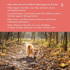 Everpath Natural Salmon Oil Omega Boost For Dogs And Cats 473 Ml / 16 Fl Oz | USA Made | Wild Norwegian Salmon Oil | Coat, Skin & Immune System Support | Natural Pet Remedy -Dog Supply Store 61HDuTQxkXL