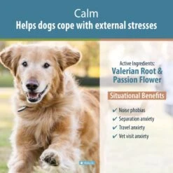 JustFoodForDogs Calm Supplements For Dogs - Stress Relief For Separation Anxiety, Thunder, Travel & Noise (90 Count) 10 JustFoodForDogs Calm Supplements For Dogs - Stress Relief For Separation Anxiety, Thunder, Travel & Noise (90 Count) -Dog Supply Store 61HsWFTmFTL