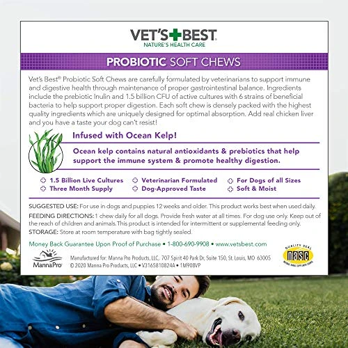Vet's Best Probiotic Soft Chews Dog Supplements | Supports Dog Digestive Health | Promotes A Healthy Gut | 30 Day Supply 8 Vet's Best Probiotic Soft Chews Dog Supplements | Supports Dog Digestive Health | Promotes A Healthy Gut | 30 Day Supply - Image 6