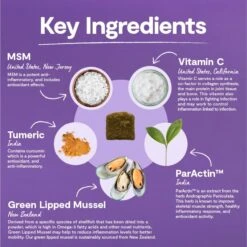 Open Farm Hip & Joint Chews, Dog Supplement, Dog Vitamins, Supports Joint Health And Mobility Using Traceable And Vet-Approved Ingredients, 12.7 Oz, 90 Count -Dog Supply Store 61Z4bEEQzcL