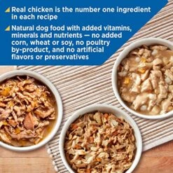 Nature's Recipe Wet Dog Food, Variety Pack, 2.75 Ounce Cup (Pack Of 24) -Dog Supply Store 61eUxkiiTSL