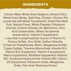 NUTRO MAX Senior Recipe Dry Dog Food With Farm-Raised Chicken, 25 LB Bag -Dog Supply Store 61fYpI1lyTL