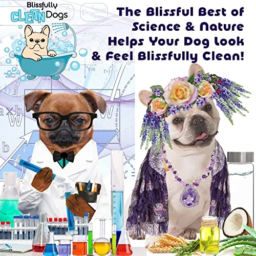 The Blissful Dog Fresh Flat Face Wash - Cleans Facial Folds And Wrinkles, 8-Ounce, Pug 6 The Blissful Dog Fresh Flat Face Wash - Cleans Facial Folds And Wrinkles, 8-Ounce, Pug - Image 4
