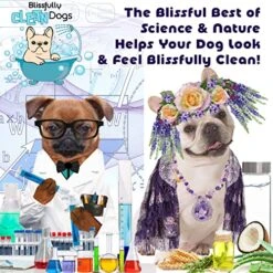 The Blissful Dog Shine-On + Sheen Coat Spray, All Natural, Leave-in Conditioner And Coat Detangler For Your Dog, 16 Oz -Dog Supply Store 61xe3b1j7eL 2