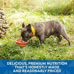 Nature's Recipe Wet Dog Food, Variety Pack, 2.75 Ounce Cup (Pack Of 24) -Dog Supply Store 61y0LTAMbEL