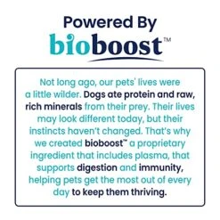 Solid Gold Dog Probiotic Chews - Bacon Flavor Soft Chews For Dog Digestive Support - Mellow Belly Probiotic For Dogs With Fiber & Digestive Enzymes For Bowel Support & Gut Health - 120 Count -Dog Supply Store 91ScxPBLyHL